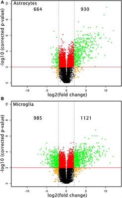 IFN-γ Producing Th1 Cells Induce Different Transcriptional Profiles in Microglia and Astrocytes